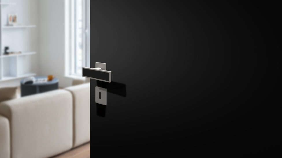 Detailansicht HGM Premium Innentür Lines Ultramatt in Schwarz mit silbernem Drücker